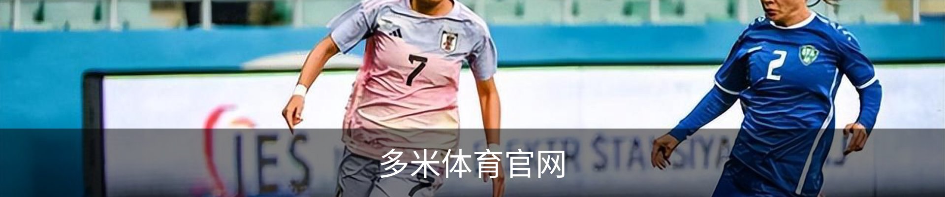 多米体育官网
